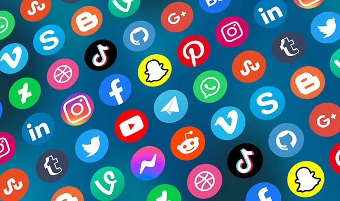 TÜİK ve küresel araştırma merkezlerinin 2025 yılı verilerine göre, Türkiye'de