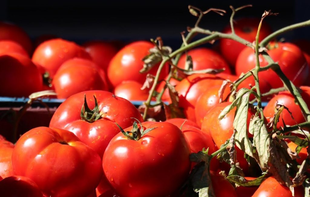 C vitamini ve likopen deposu olarak sofralarımızdan eksik etmediğimiz domates,