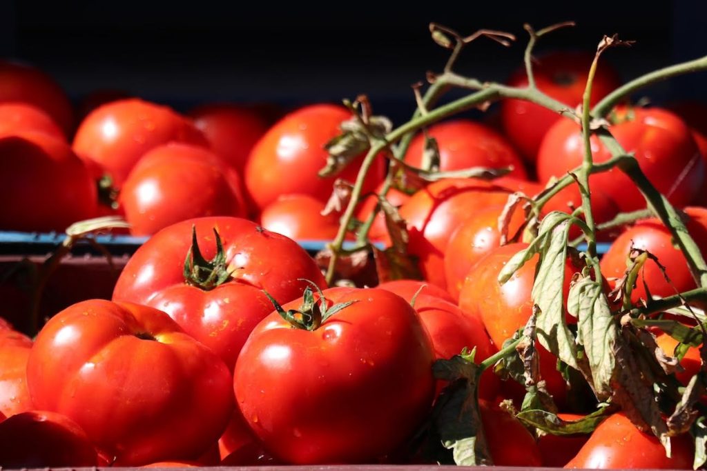 C vitamini ve likopen deposu olarak sofralarımızdan eksik etmediğimiz domates,