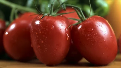 Gastronomi dünyasının "rehberi" olarak kabul edilen TasteAtlas, kullanıcı oylarıyla belirlenen