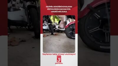 Kanal 3Çar, Mayıs 27, 2026 7:34amURL:Embed:Kedinin, kendisini kovalayan köpeklerden kaçmak