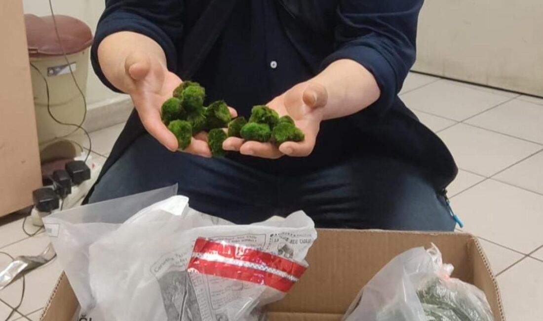 Edirne Kapıkule Sınır Kapısı'nda gerçekleştirilen operasyon, kaçakçılığın sadece emtia veya