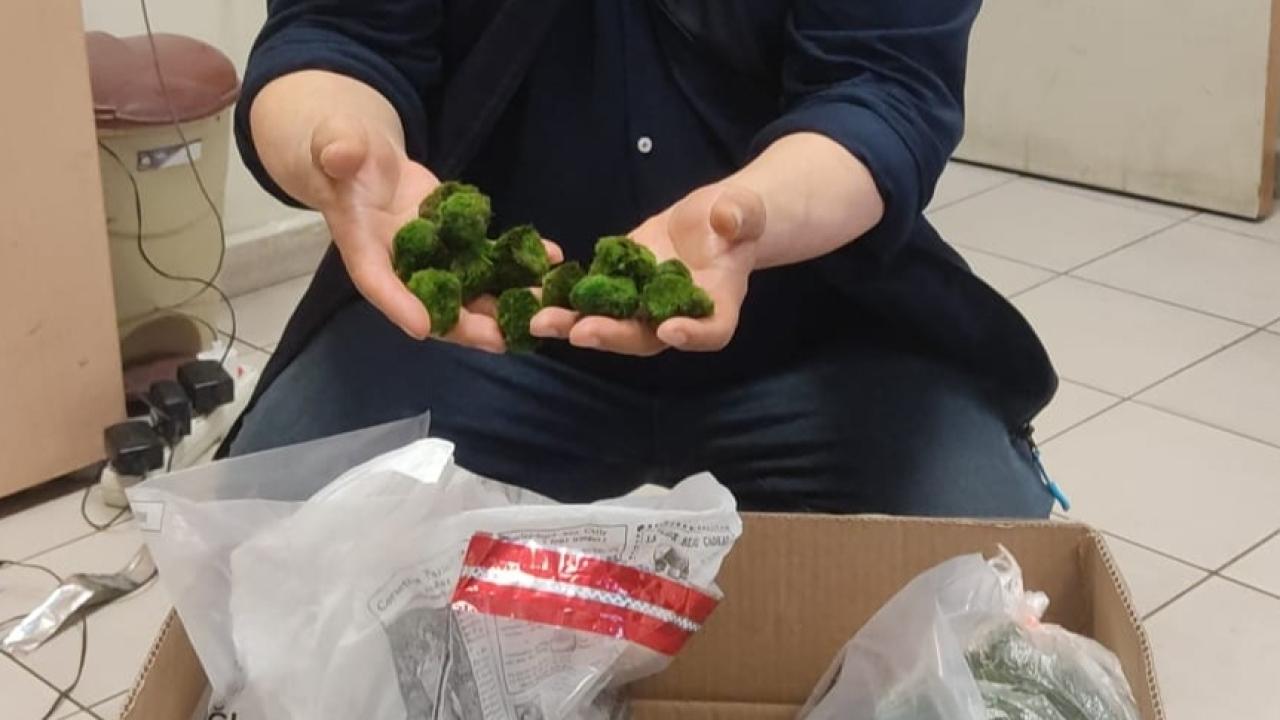 Edirne Kapıkule Sınır Kapısı'nda gerçekleştirilen operasyon, kaçakçılığın sadece emtia veya