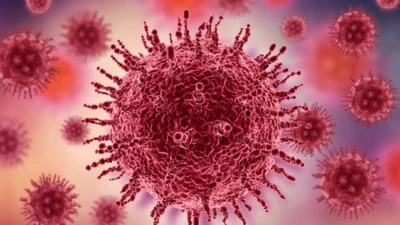 Kongo Demokratik Cumhuriyeti'nde (KDC) etkisini her geçen gün artıran Ebola
