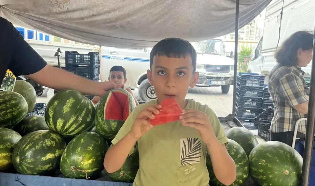 Türkiye'nin karpuz ambarı Adana'da hasat tüm hızıyla sürerken, üreticiler ve