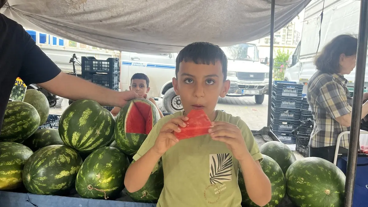 Türkiye'nin karpuz ambarı Adana'da hasat tüm hızıyla sürerken, üreticiler ve