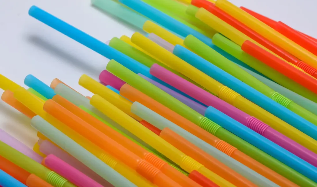 Son dönemde tek kullanımlık plastik ürünlerin, özellikle de plastik ve