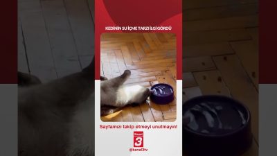 📶https://kanal3.com.tr/ Sosyal Medya Hesaplarımızı Takip Ederek Son Dakika Haberleri Alabilirsiniz;