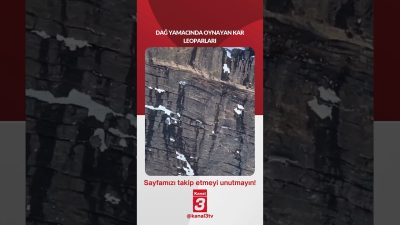 Dağ yamacında oynayan kar leoparları… 📶https://kanal3.com.tr/ Sosyal Medya Hesaplarımızı Takip