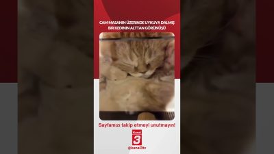 Kanal 3Per, Haziran 25, 2026 8:00amURL:Embed:Cam masanın üzerinde uykuya dalmış
