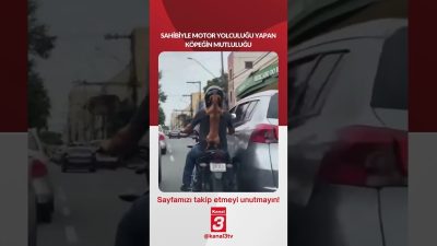 Sahibiyle motor yolculuğu yapan köpeğin mutluluğu… 📶https://kanal3.com.tr/ Sosyal Medya Hesaplarımızı
