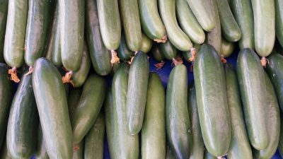 Salatalık, yüksek su oranı, düşük kalorisi ve zengin vitamin-mineral içeriğiyle