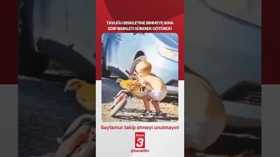 Kanal 3Sal, Haziran 30, 2026 8:00amURL:Embed:Tavuğu bisikletine binmeye ikna edip