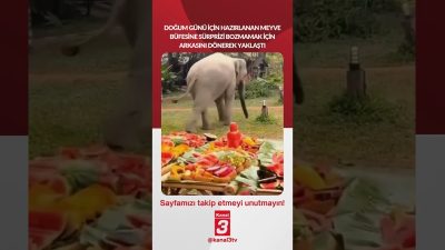 Kanal 3Çar, Temmuz 29, 2026 12:00pmURL:Embed:Doğum günü için hazırlanan meyve