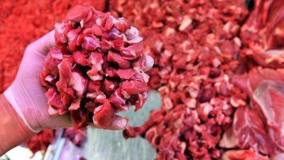 Türkiye'de büyükbaş besicileri artan yem, işçilik ve girdi maliyetleriyle mücadele