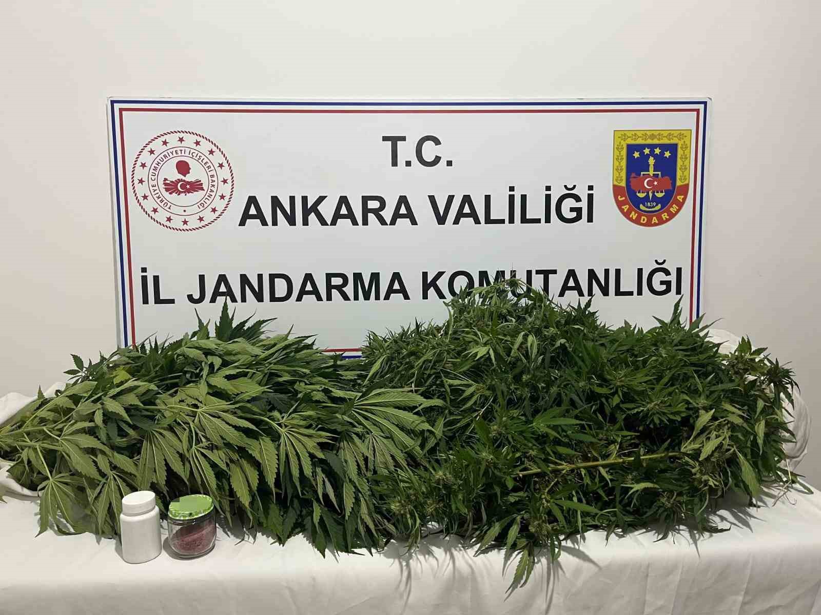 Ankara’da, jandarma ekiplerince icra edilen narkotik operasyonunda yaklaşık 150 kök