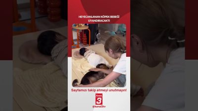 Kanal 3Per, Temmuz 30, 2026 10:00amURL:Embed:Heyecanlanan köpek bebeği uyandıracaktı… 📶https://kanal3.com.tr/