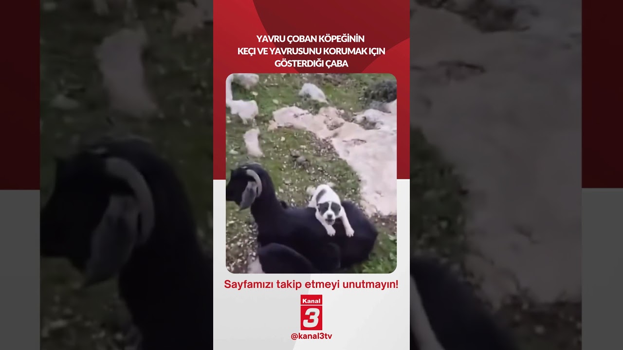 📶https://kanal3.com.tr/ Sosyal Medya Hesaplarımızı Takip Ederek Son Dakika Haberleri Alabilirsiniz;
