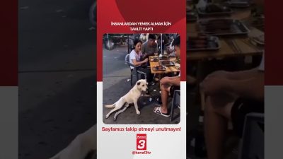 Yemek almak için taklit yaptı! 📶https://kanal3.com.tr/ Sosyal Medya Hesaplarımızı Takip