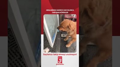 Kanal 3Paz, Temmuz 26, 2026 2:00pmURL:Embed:Aralarında sadece cam olunca tartışan
