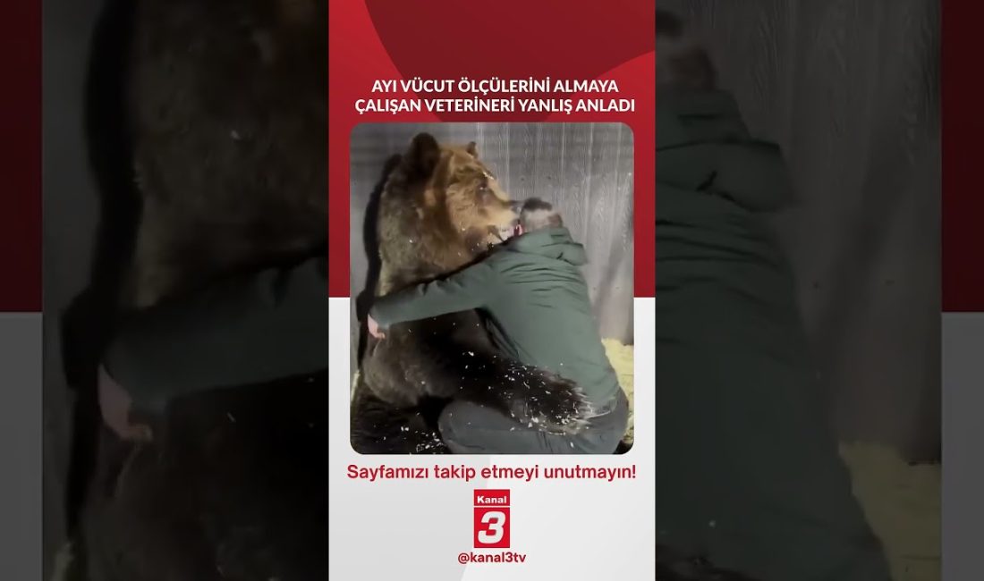📶https://kanal3.com.tr/ Sosyal Medya Hesaplarımızı Takip Ederek Son Dakika Haberleri Alabilirsiniz;