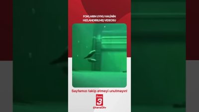 Kanal 3Pts, Temmuz 27, 2026 2:00pmURL:Embed:📶https://kanal3.com.tr/ Sosyal Medya Hesaplarımızı Takip