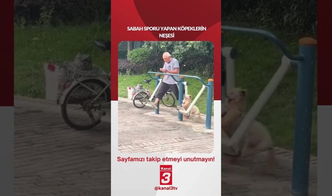 Sabah sporu yapan köpeklerin neşesi… 📶https://kanal3.com.tr/ Sosyal Medya Hesaplarımızı Takip