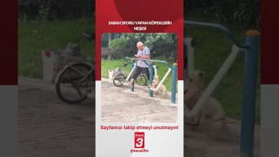 Sabah sporu yapan köpeklerin neşesi… 📶https://kanal3.com.tr/ Sosyal Medya Hesaplarımızı Takip