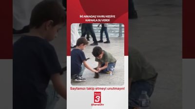 İki arkadaş yavru kediye kapakla su verdi… 📶https://kanal3.com.tr/ Sosyal Medya