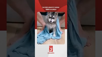 Kanal 3Cts, Temmuz 4, 2026 2:00pmURL:Embed:İlk defa banyo yapan ”Sibirya