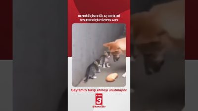 Kendisi için değil aç kedileri beslemek için yiyecek aldı… 📶https://kanal3.com.tr/