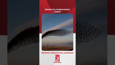 Binlerce kuş, tek bir kusursuz hareket… 📶https://kanal3.com.tr/ Sosyal Medya Hesaplarımızı