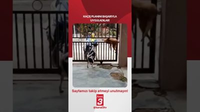Kanal 3Cts, Temmuz 18, 2026 12:00pmURL:Embed:Kaçış planını başarıyla uyguladılar! 📶https://kanal3.com.tr/