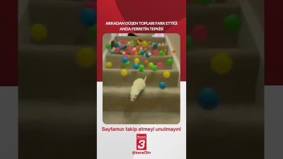 📶https://kanal3.com.tr/ Sosyal Medya Hesaplarımızı Takip Ederek Son Dakika Haberleri Alabilirsiniz;