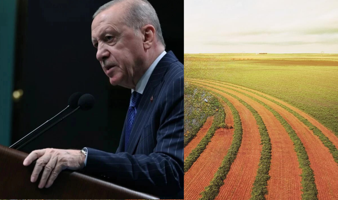 Cumhurbaşkanı Recep Tayyip Erdoğan, Ziraat Bankası 5. Tarım Ekosistemi Buluşması’nda