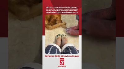Ayaklarına giydikleri özel çoraplarla köpeklerini taklit edip tepkisini kaydettikleri anı