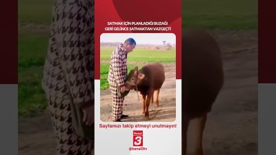 Kanal 3Cts, Temmuz 25, 2026 10:00amURL:Embed:Satmak için planladığı buzağı geri