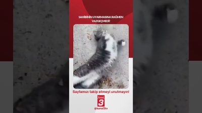Sahibinin uyarmasına rağmen vazgeçmedi! 📶https://kanal3.com.tr/ Sosyal Medya Hesaplarımızı Takip Ederek