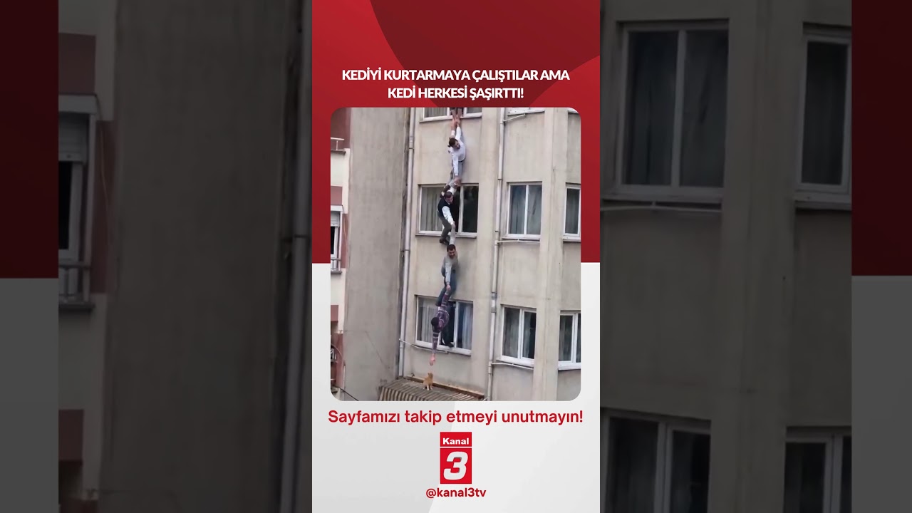 Kediyi kurtarmaya çalıştılar ama kedi herkesi şaşırttı! 📶https://kanal3.com.tr/ Sosyal Medya