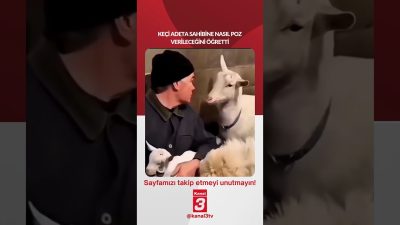 Keçi adeta sahibine nasıl poz verileceğini öğretti… 📶https://kanal3.com.tr/ Sosyal Medya