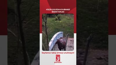 Küçük çocuğun ata binmesi beğeni topladı… 📶https://kanal3.com.tr/ Sosyal Medya Hesaplarımızı