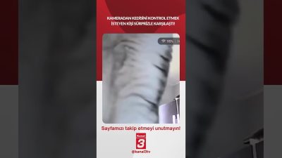 Kanal 3Cts, Temmuz 4, 2026 4:00pmURL:Embed:Kameradan kedisini kontrol etmek isteyen