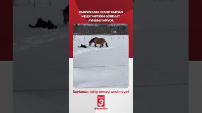 Kadının kara uzanıp kardan melek yaptığını gören at aynısını yapıyor…