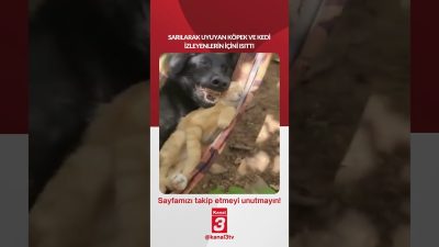 Kanal 3Cts, Temmuz 25, 2026 12:00pmURL:Embed:Sarılarak uyuyan köpek ve kedi