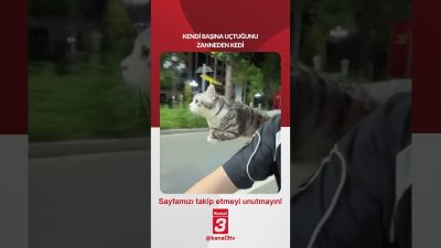 Kendi başına uçtuğunu zanneden kedi… 📶https://kanal3.com.tr/ Sosyal Medya Hesaplarımızı Takip