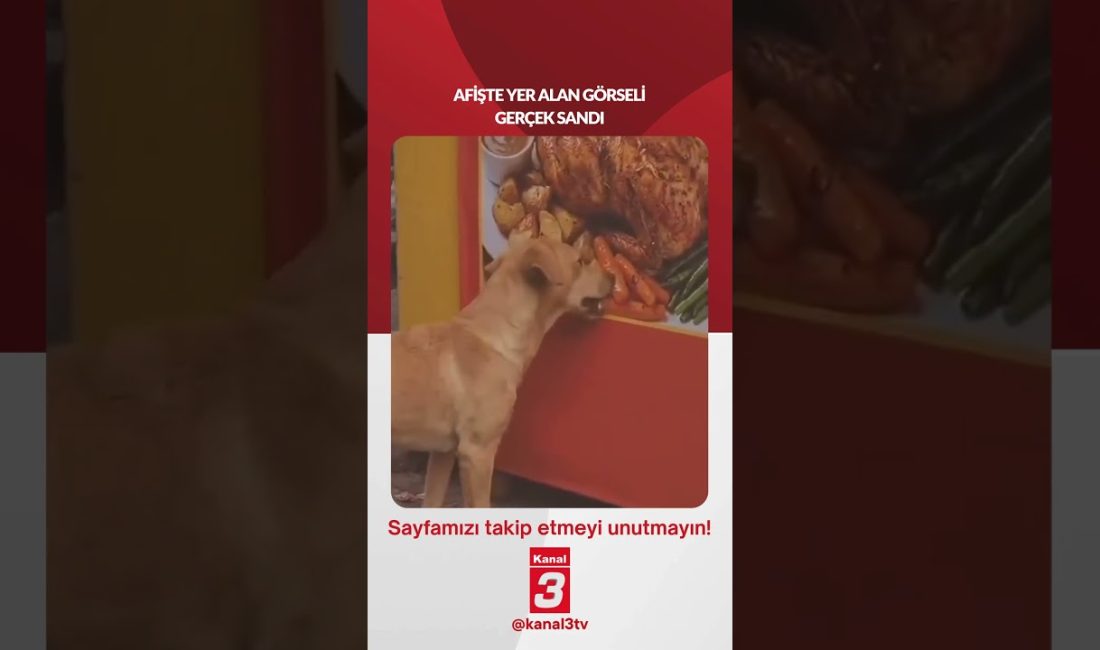 Afişte yer alan görseli gerçek sandı… 📶https://kanal3.com.tr/ Sosyal Medya Hesaplarımızı