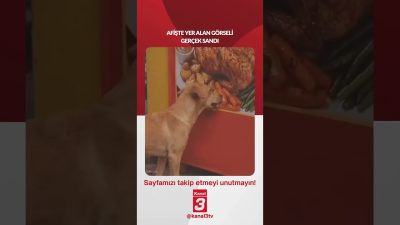 Kanal 3Pts, Temmuz 27, 2026 4:00pmURL:Embed:Afişte yer alan görseli gerçek