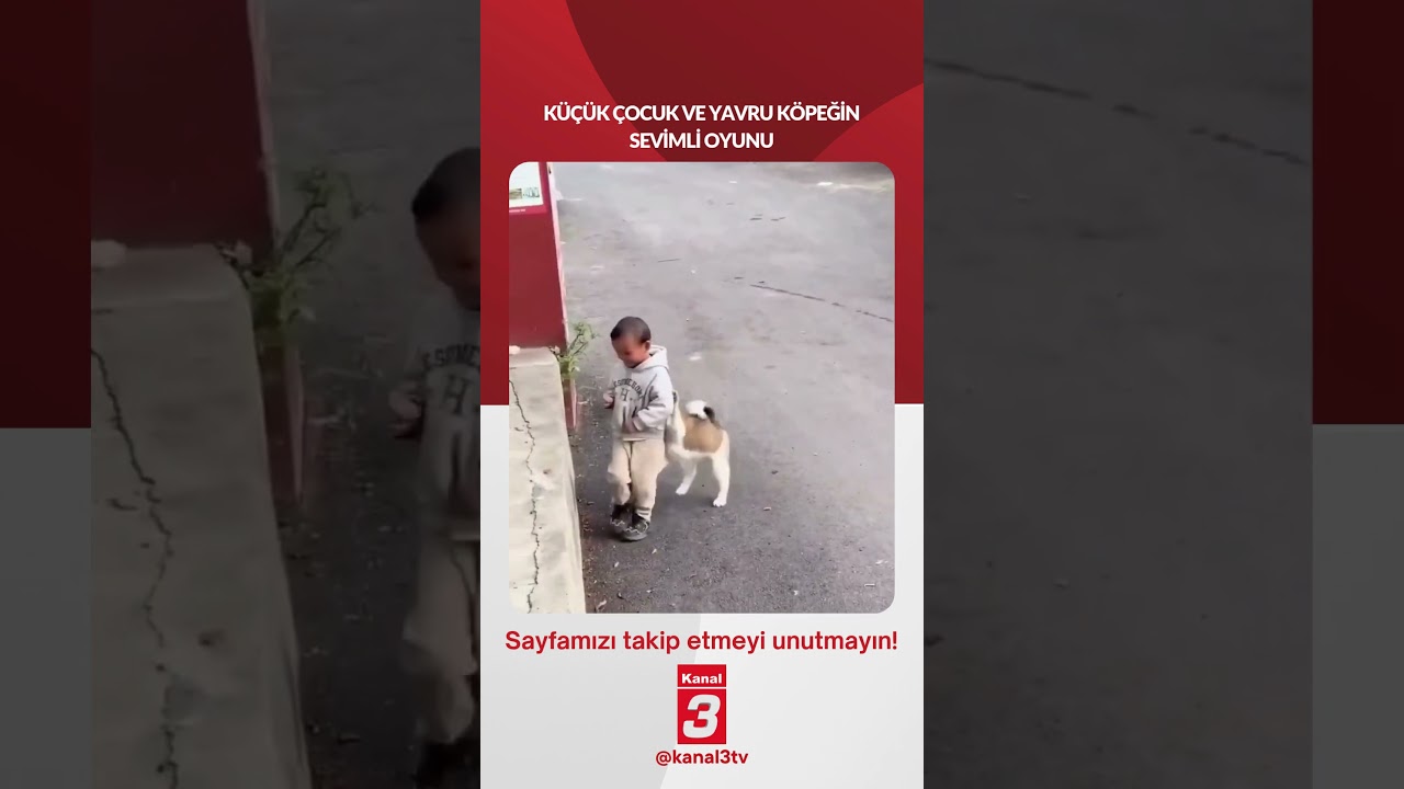 KÜÇÜK ÇOCUK VE YAVRU KÖPEĞİN SEVİMLİ OYUNU 📶https://kanal3.com.tr/ Sosyal Medya