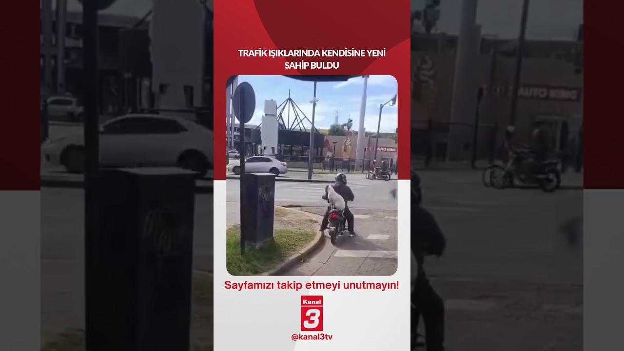 Trafik ışıklarında kendisine yeni sahip buldu… 📶https://kanal3.com.tr/ Sosyal Medya Hesaplarımızı