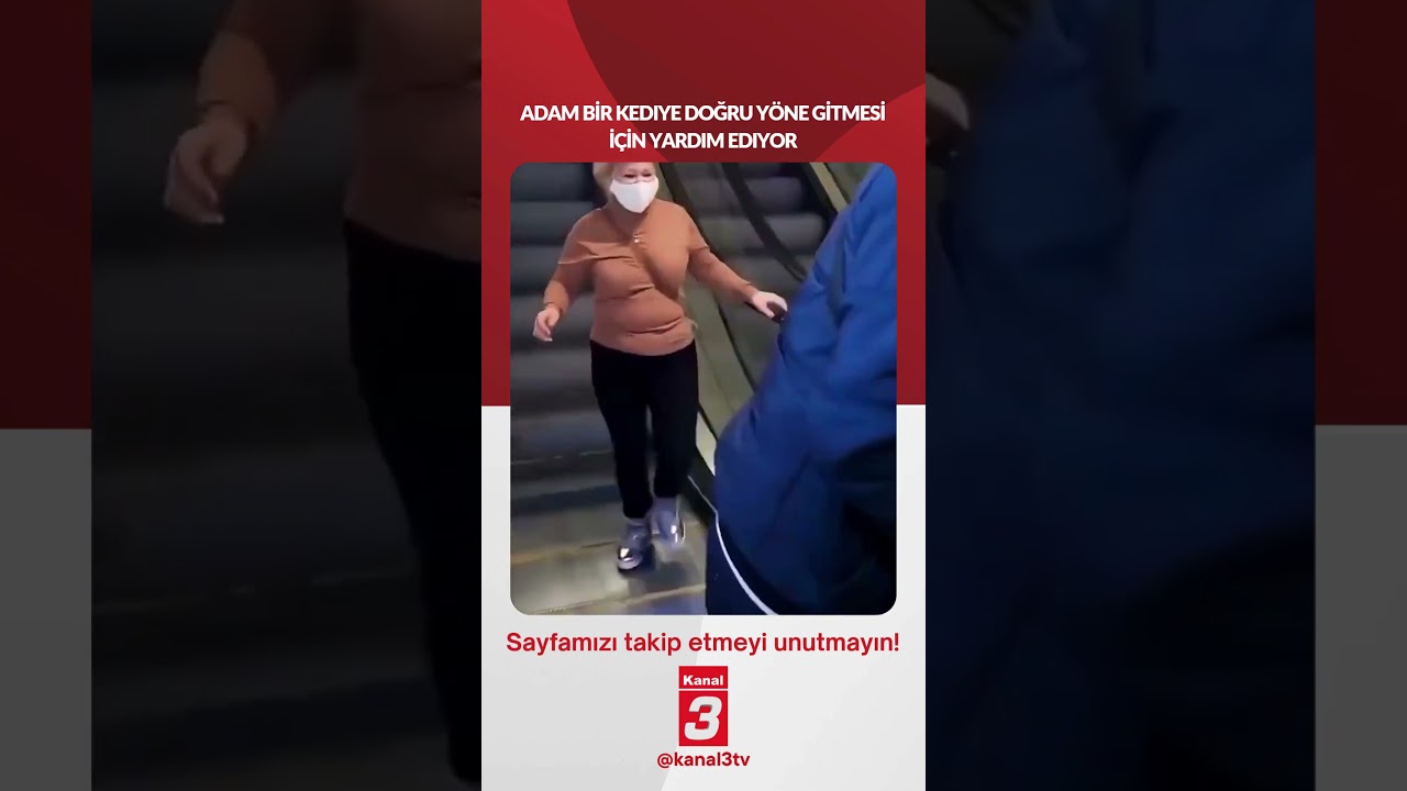 Adam bir kediye doğru yöne gitmesine yardım etti… 📶https://kanal3.com.tr/ Sosyal
